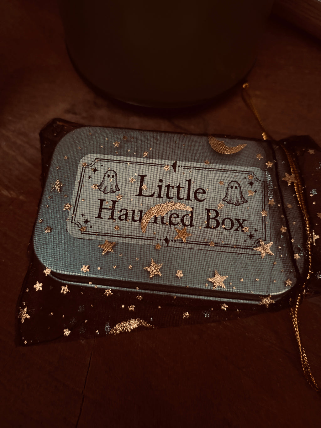 Little Haunted Box – Adopt a Tiny Ghost
