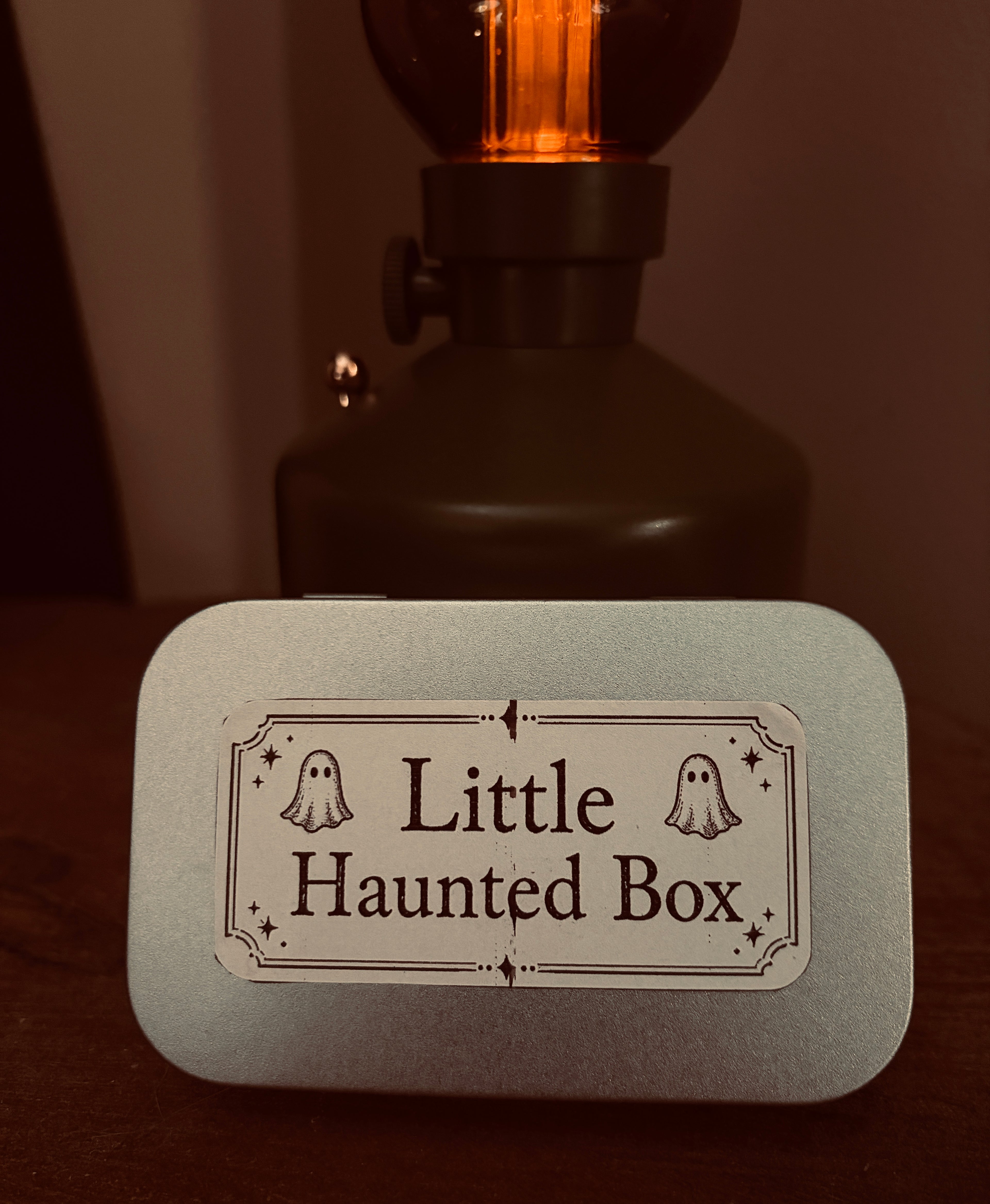 Little Haunted Box – Adopt a Tiny Ghost