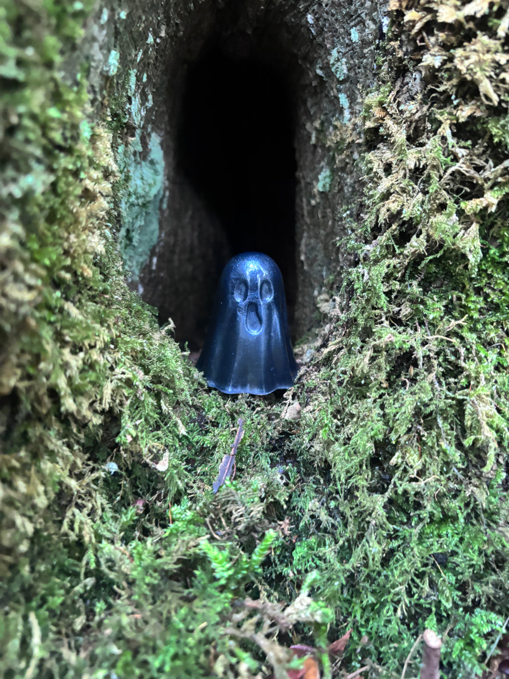 The Forgotton Wisps