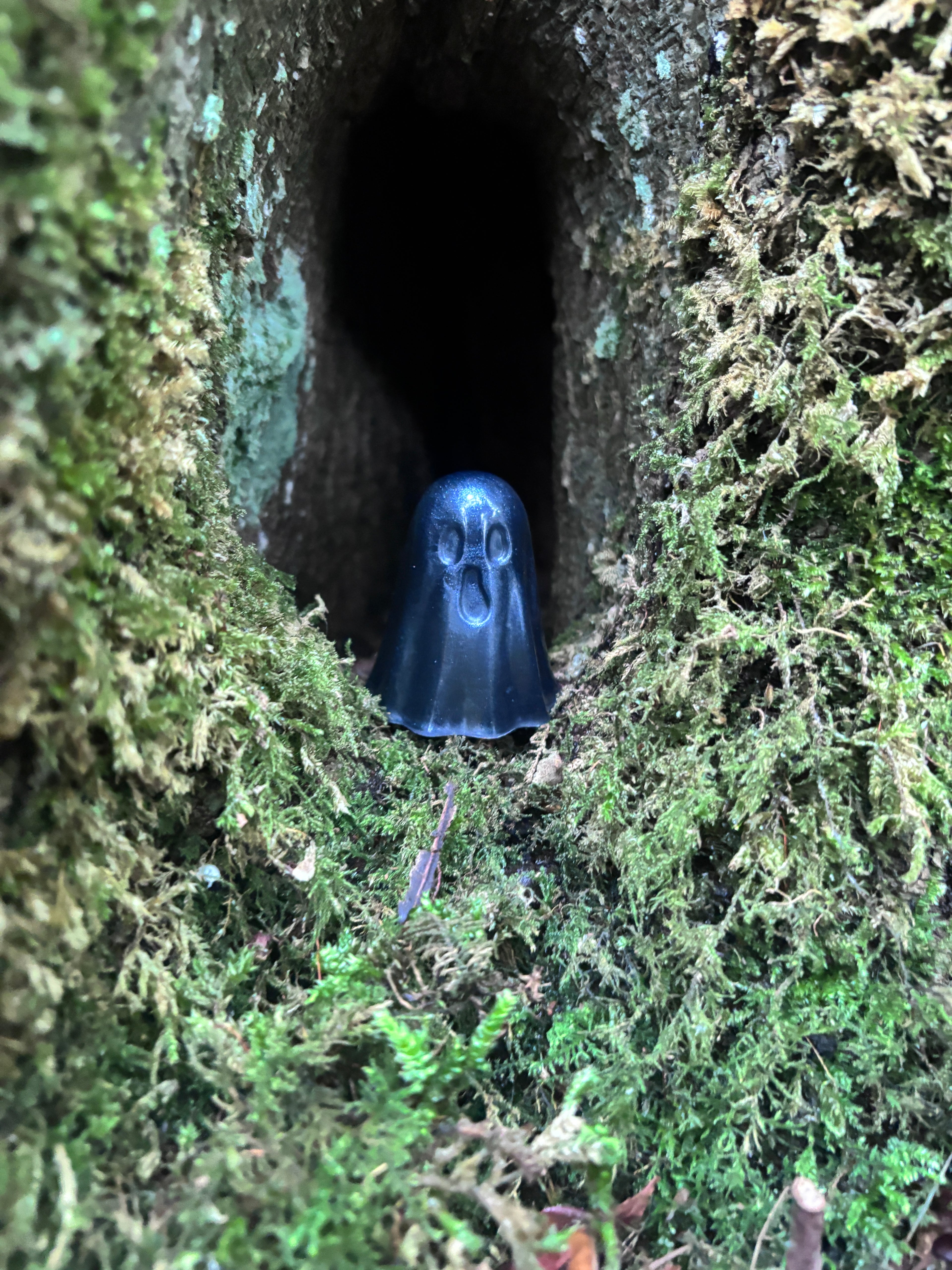 The Forgotton Wisps
