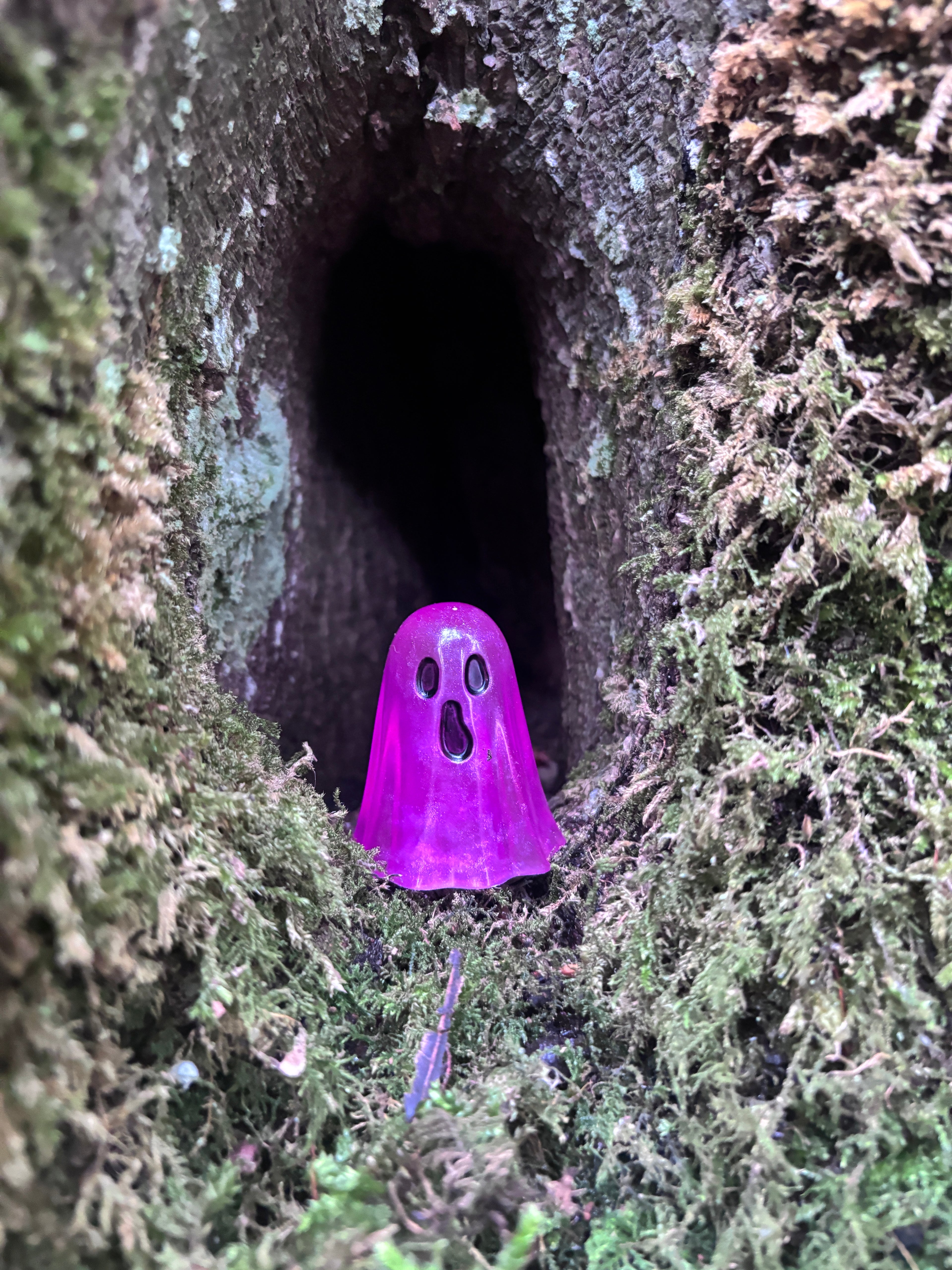 The Forgotton Wisps
