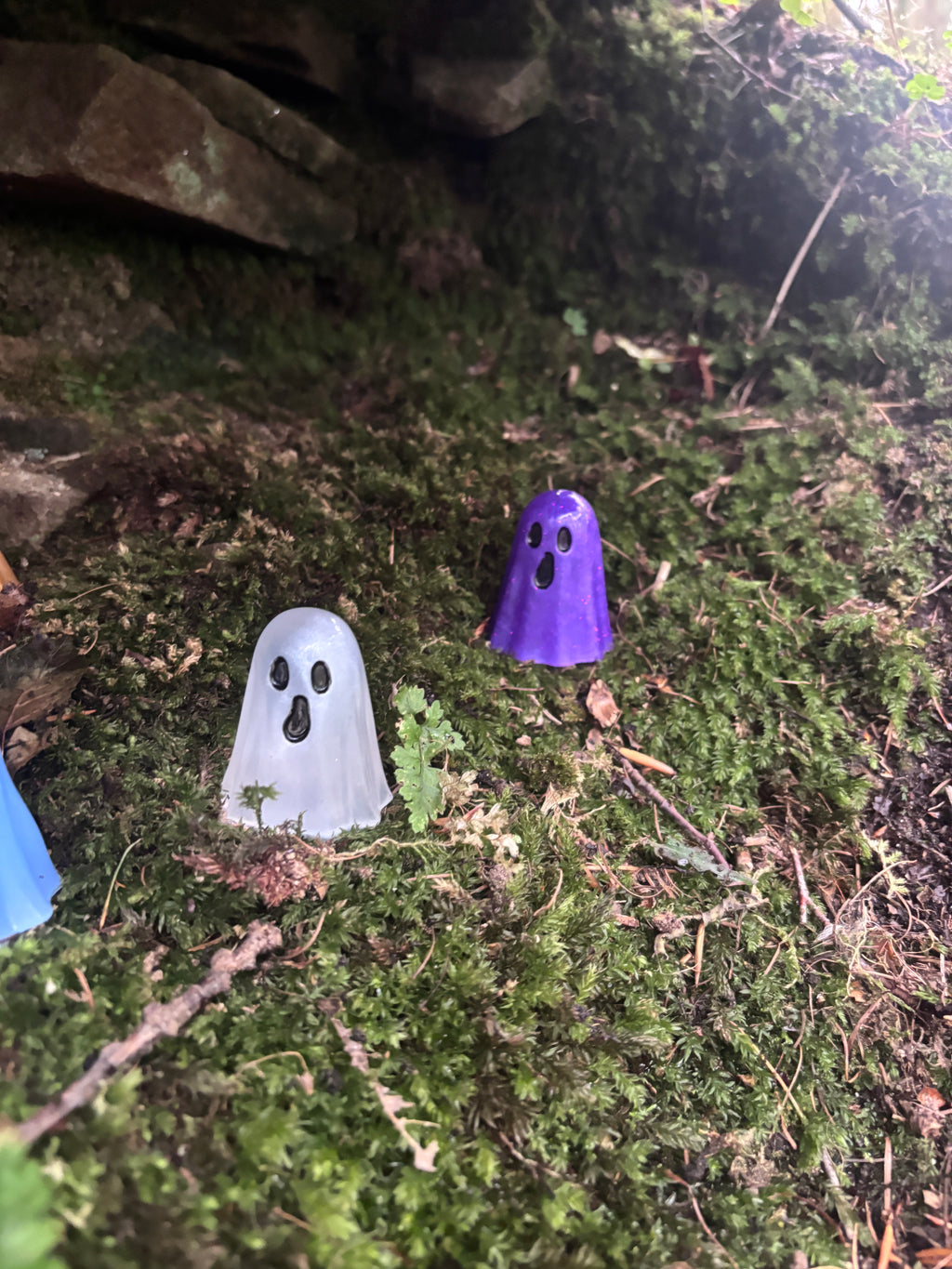 The Forgotton Wisps
