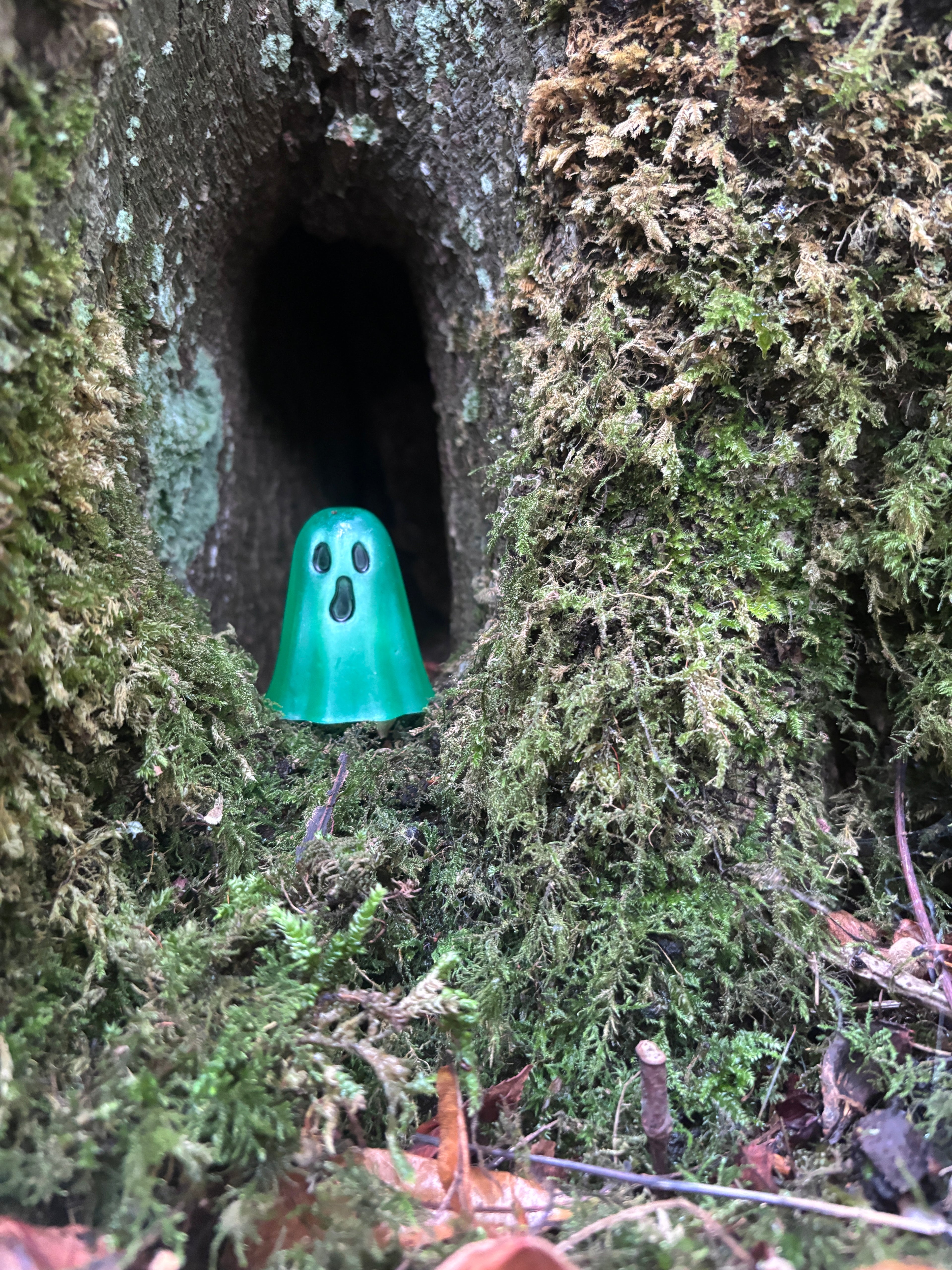 The Forgotton Wisps