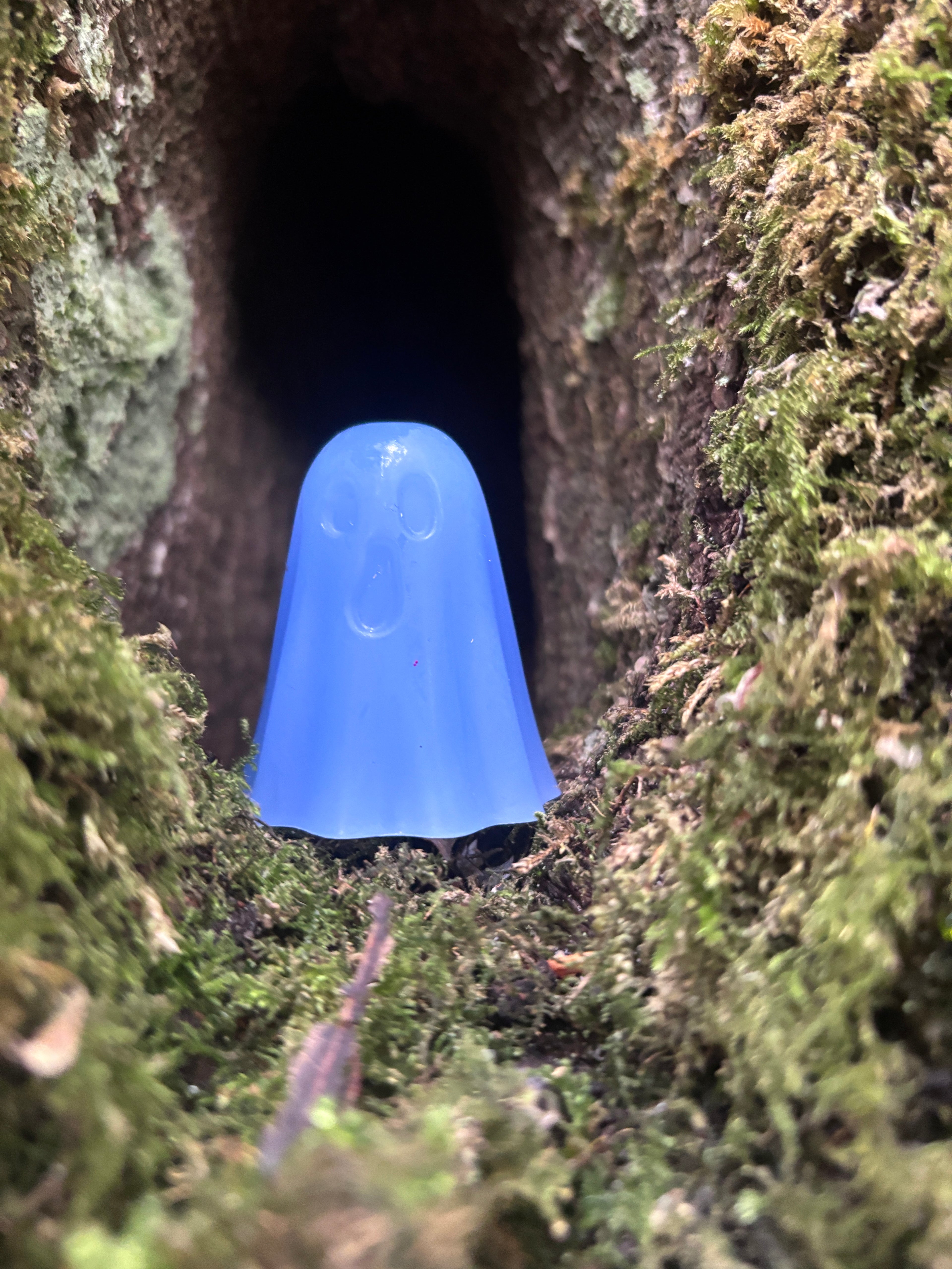 The Forgotton Wisps - for kids